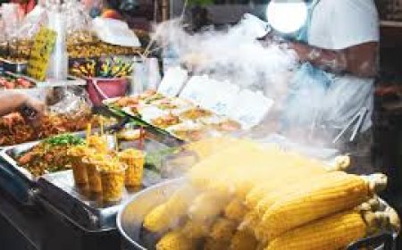 10 Must-Try Street Foods from Around the World